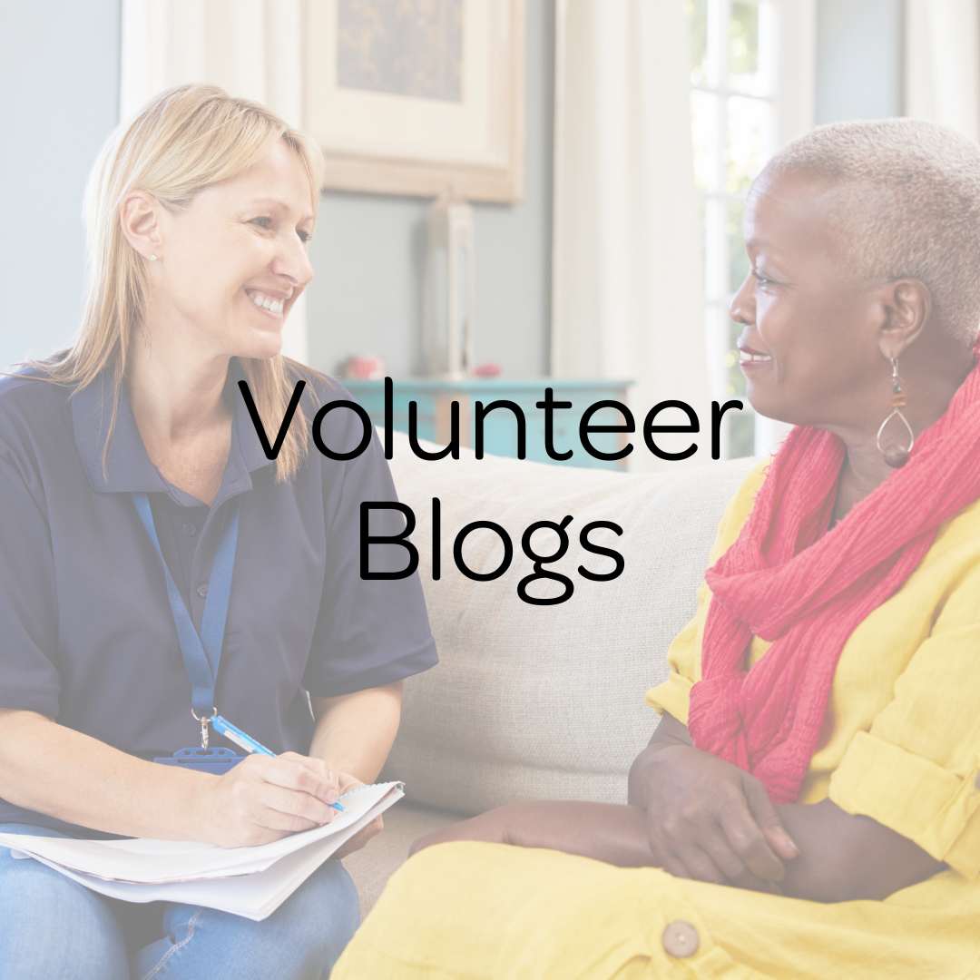 Volunteer Blogs